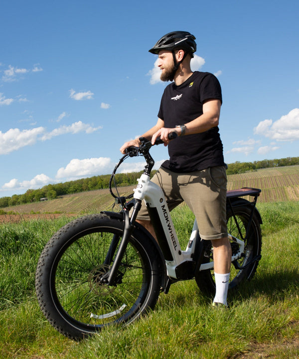 Tiefeinsteiger E-Bikes