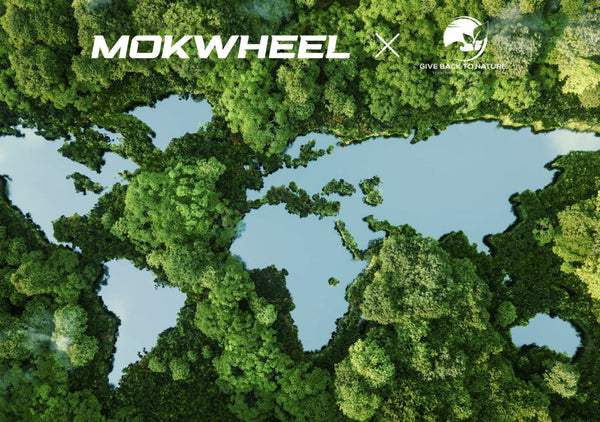 E-Bikes und die Umwelt