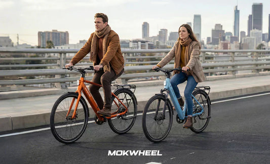 Flint Pro & Flint ST Pro – Das neue leichte E-Bike mit Riemenantrieb für eine saubere, leise und wartungsarme City-Mobilität