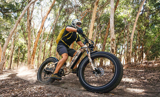 Fatbike E-Bike Kaufberatung 2026: Wann sich breite Reifen wirklich lohnen