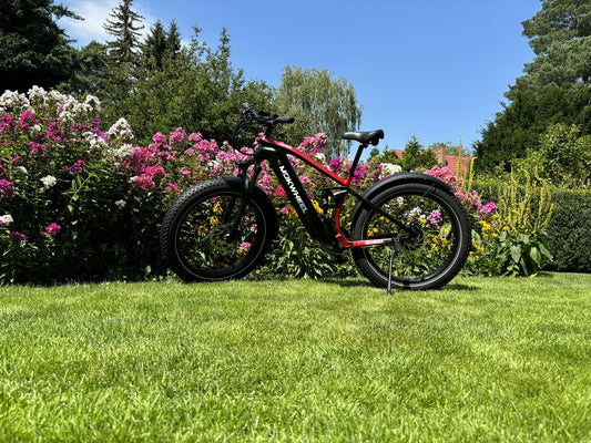 Mokwheel Obsidian - elektrofahrrad mountainbike