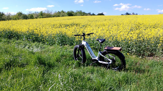 Mokwheel - elektrisches mountainbike