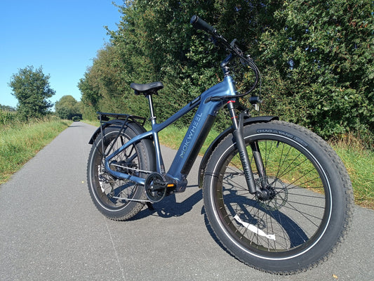 Was E-Bikes so teuer macht