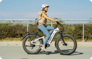 Tiefeinsteiger E-Bikes