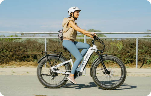 Tiefeinsteiger E-Bikes