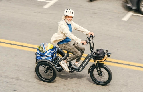 Dreirad E-Bikes
