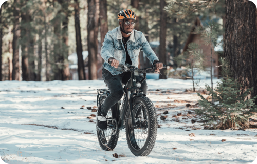 Fatbike E-Bikes