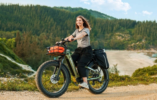 Damen E-Bikes