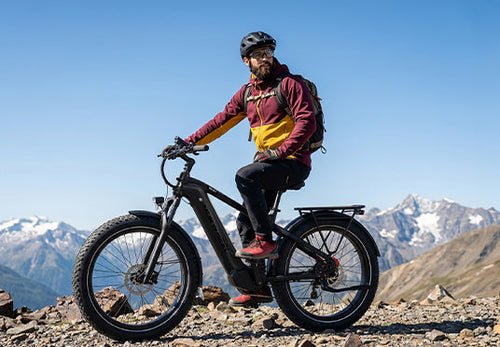 Fatbike E-Bikes