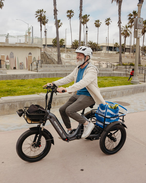 Dreirad E-Bikes