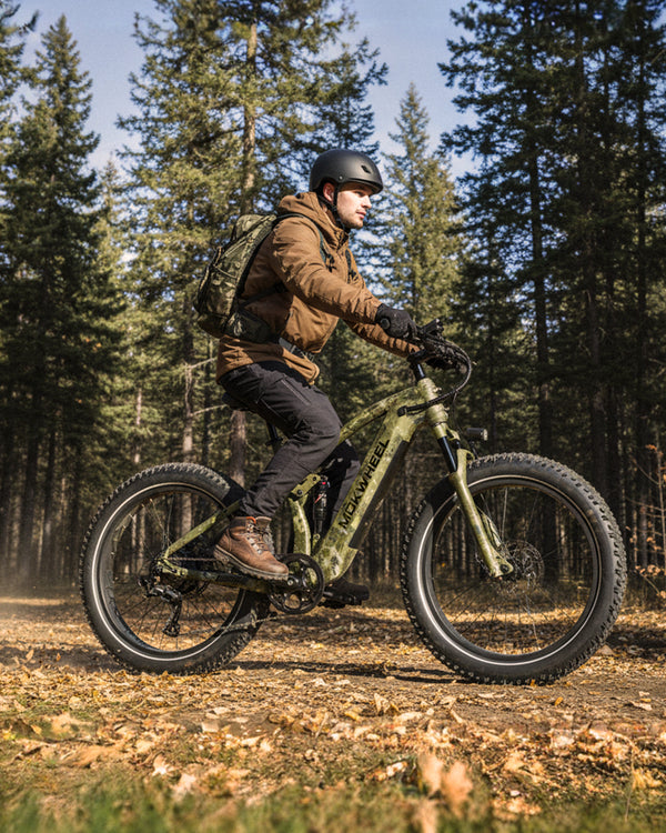 Trekking E-Bikes