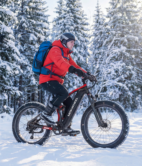 Mokwheel Ebikes