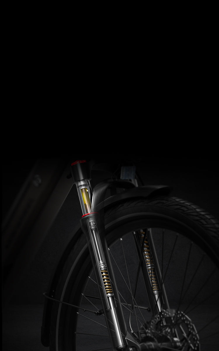 Mokwheel Ebikes