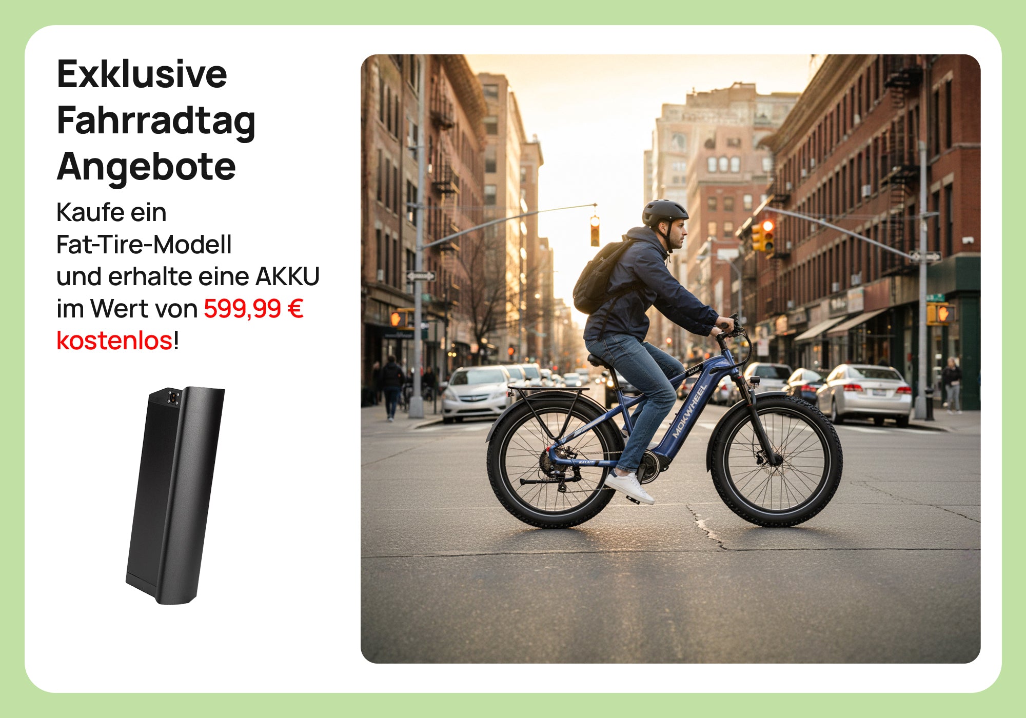 Fat Tire E-Bike + Kostenlose Akku!