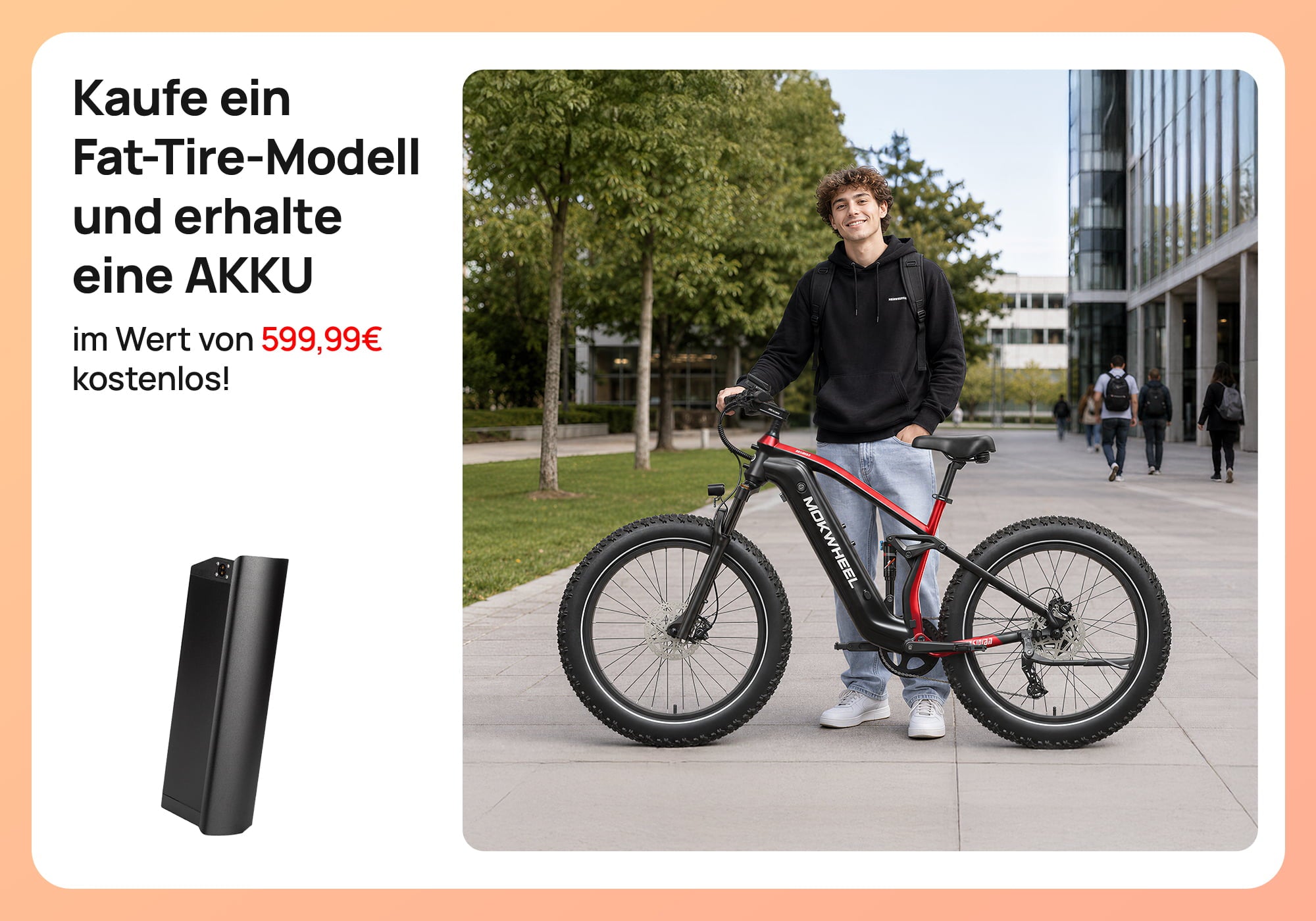 Fat Tire E-Bike + Kostenlose Akku!