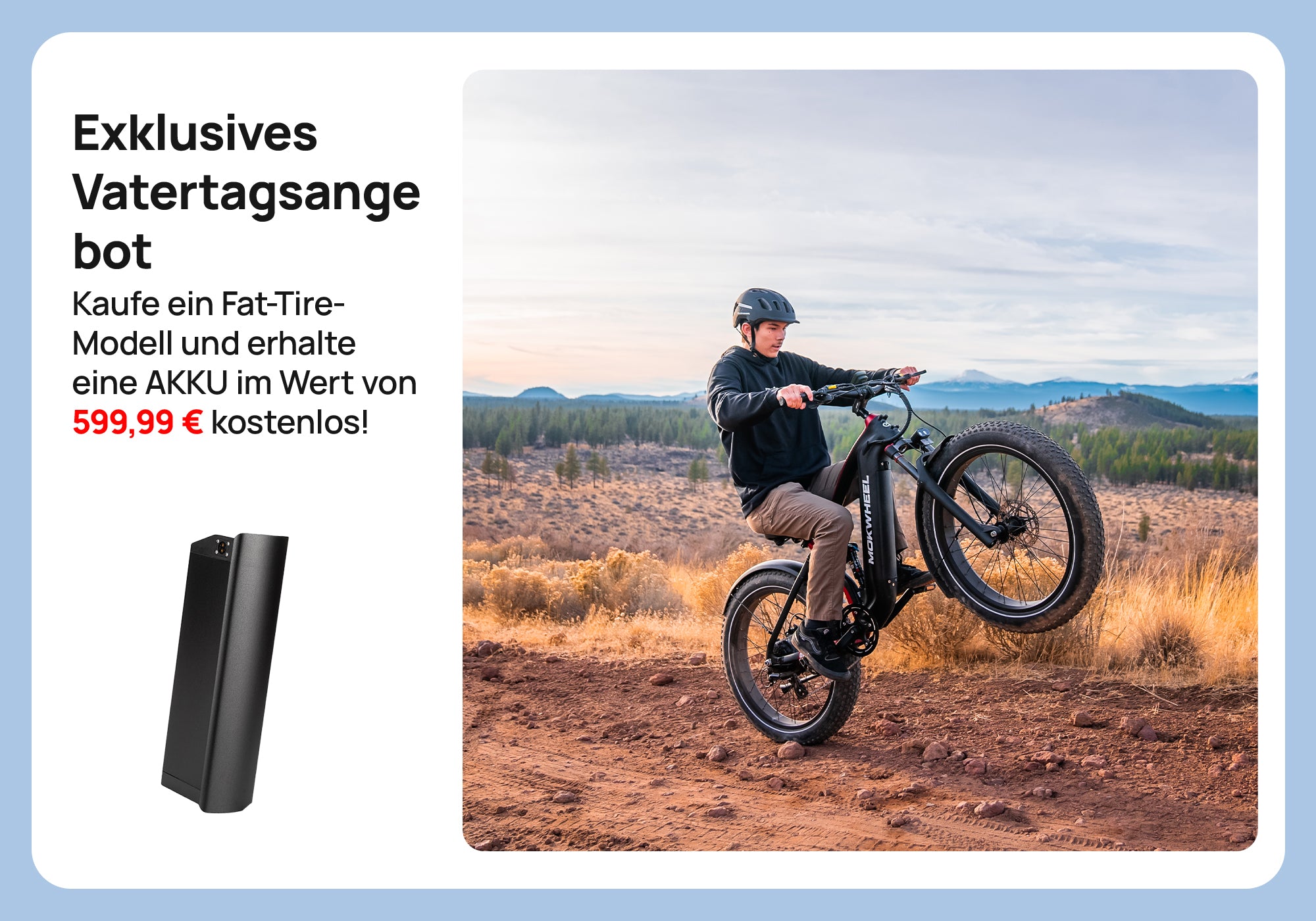 Fat Tire E-Bike + Kostenlose Akku!