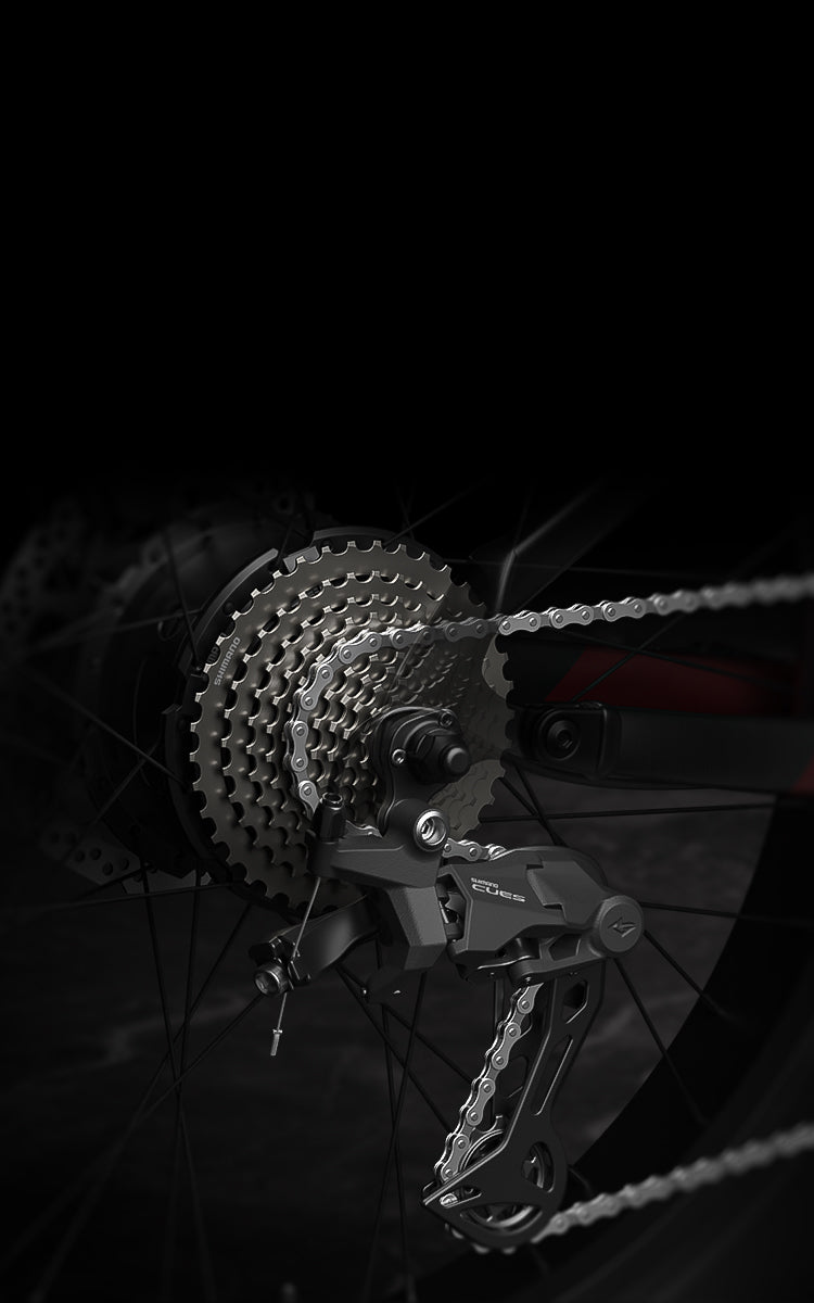 Mokwheel Ebikes