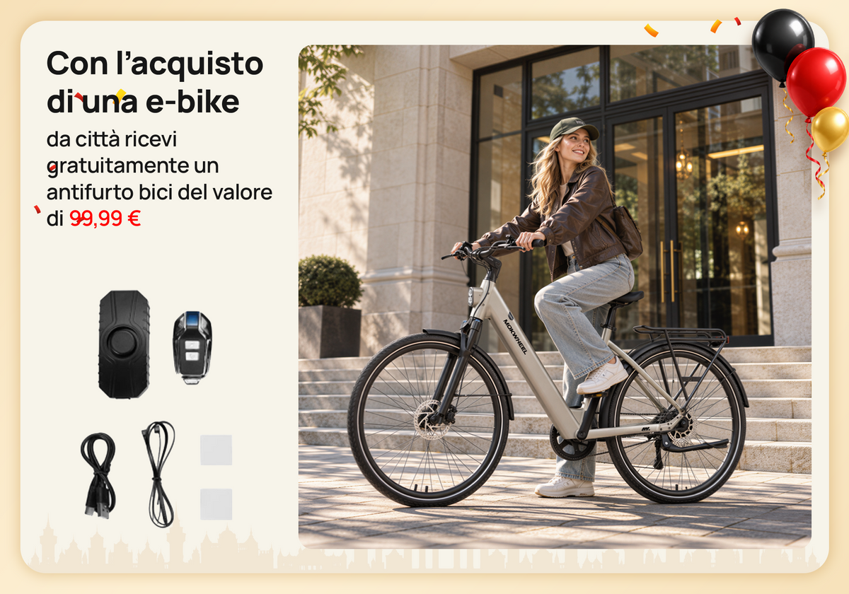 Offerta speciale City Bike