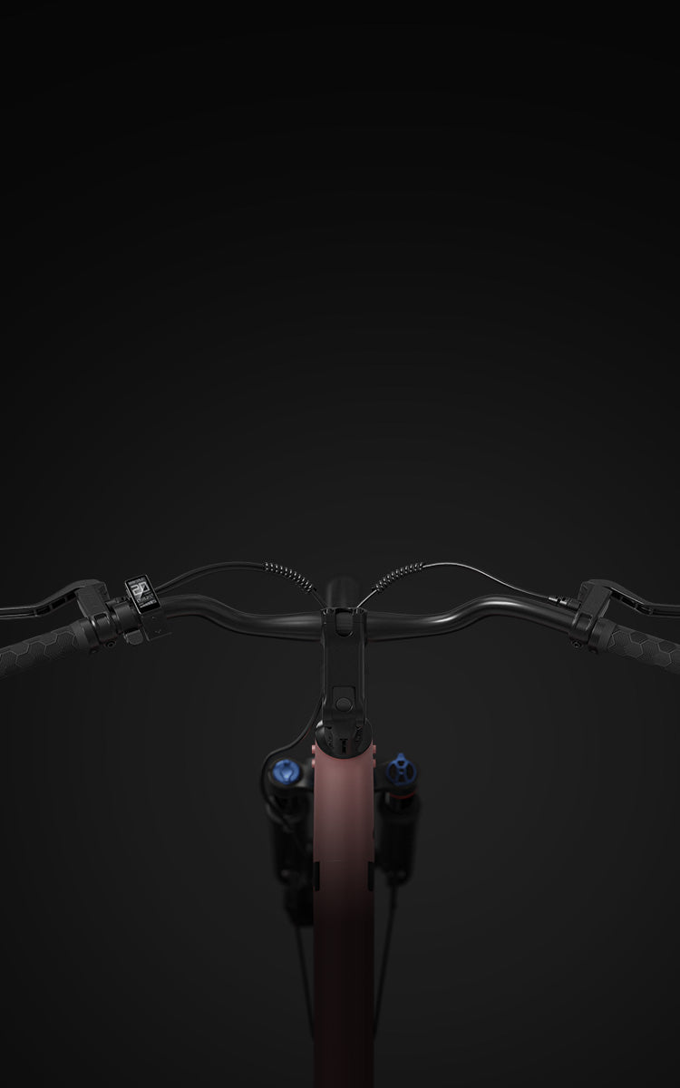 Mokwheel Ebikes