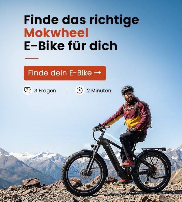 finde dein fahrrad de Basalt 2.0 Fat Tire E-Bike
