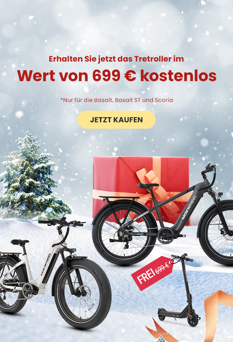 Mokwheel Bikes Germany
