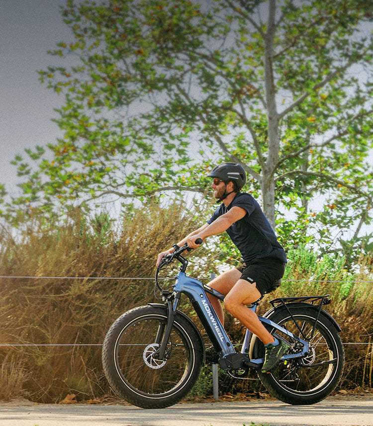 Mokwheel Ebikes