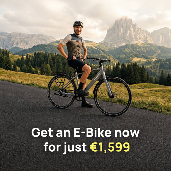 Fully E-Bikes