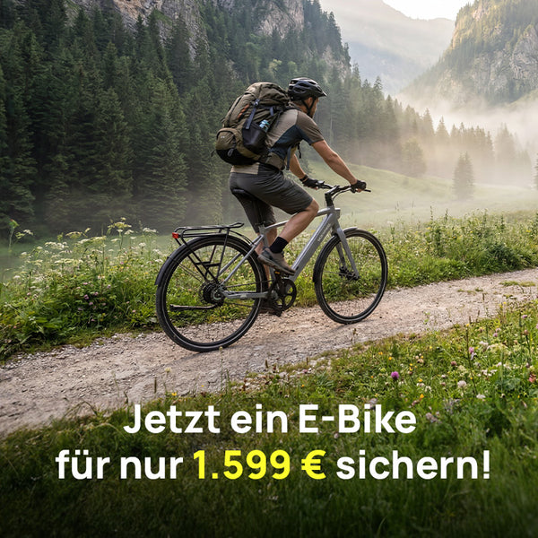 E-Bikes 1500 €+