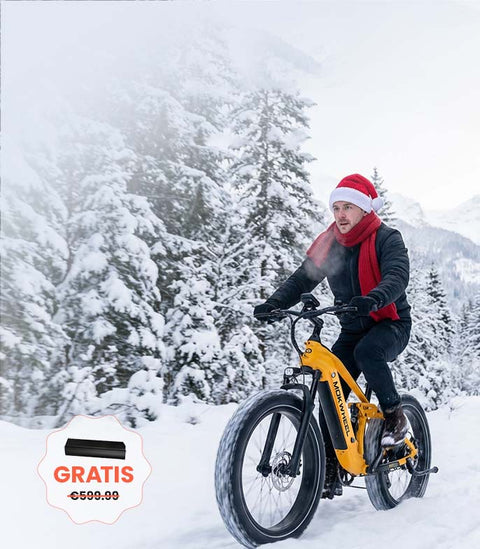 <p>Fat Tire Exklusiv – Volle Power</p>