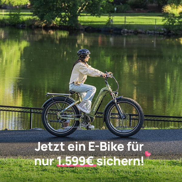 E Bike Mit Tiefem Einstieg