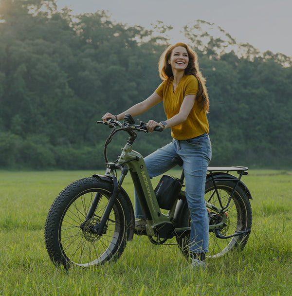 Tiefeinsteiger E-Bikes